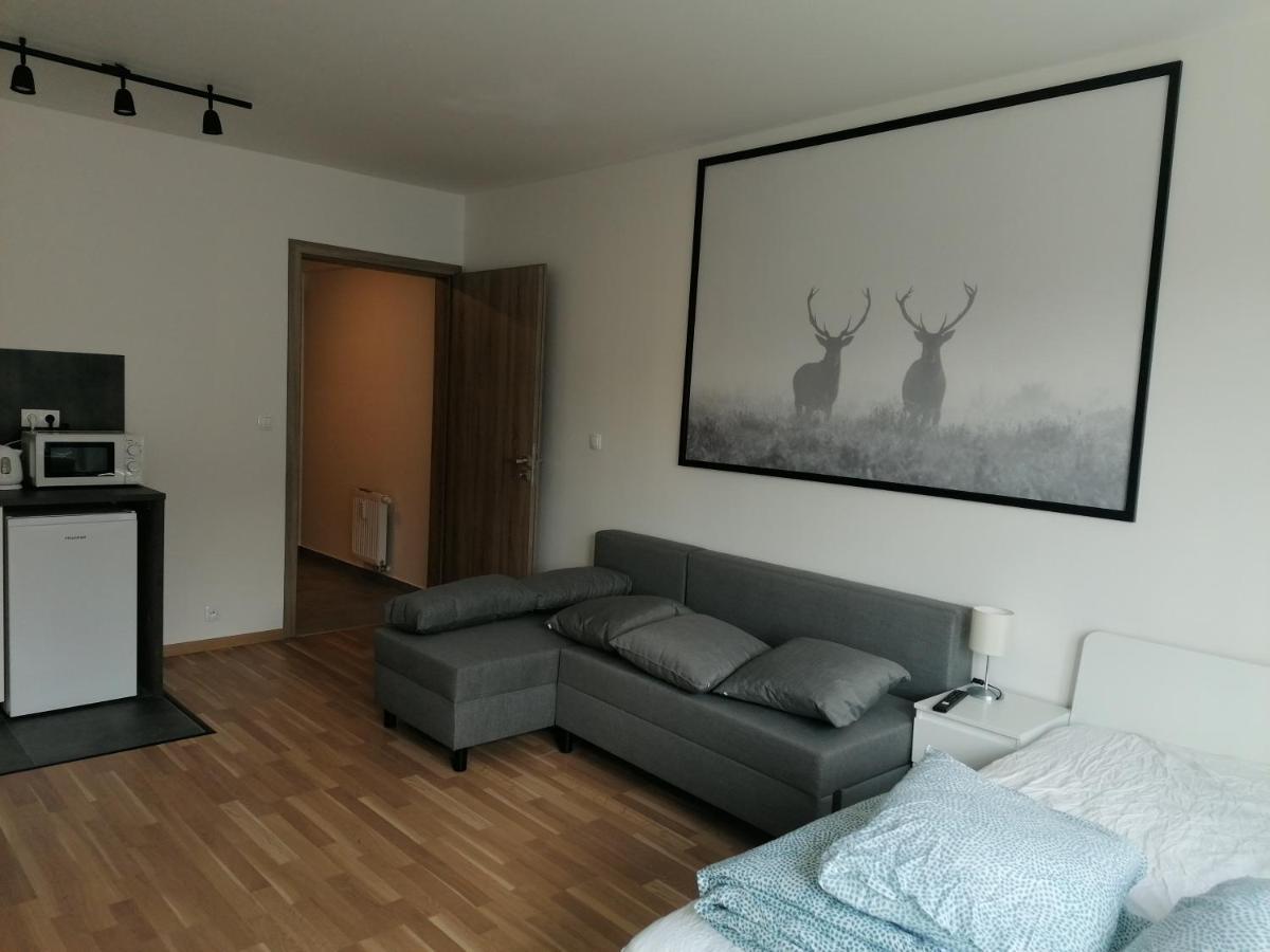 Brand New Studio Apartment #51 With Free Secure Parking In The Center Прага Экстерьер фото